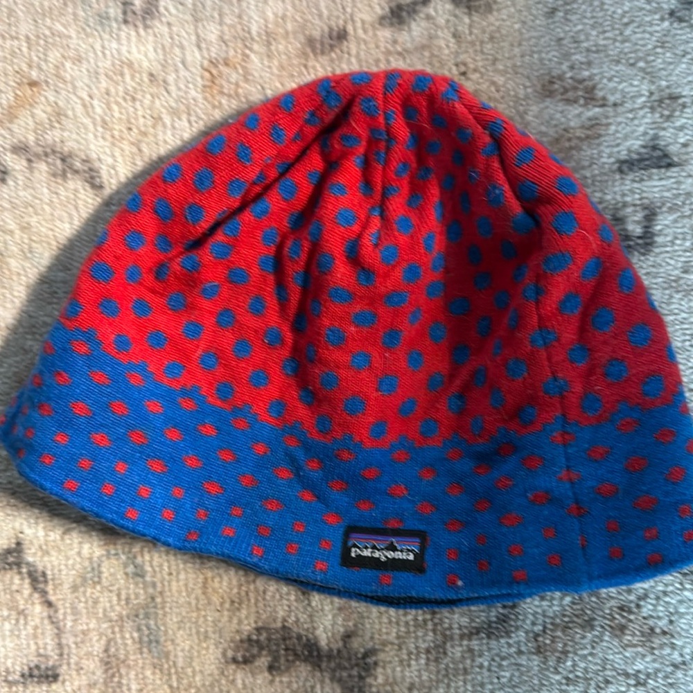 Patagonia kids beanie- EUC